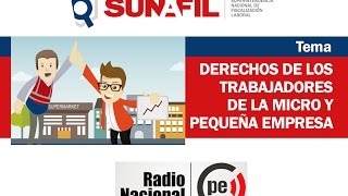 Derechos laborales de los trabajadores de las MYPE