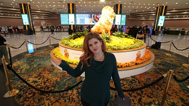 I Stayed in the Cheapest Room at MGM Grand in Las Vegas! 🦁 - DayDayNews