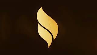 Golden Reflection Logo Reveal Animation In After Effects | After Effects