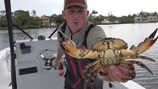 CRAB {Catch Clean Cook} Blue Crab, King Crab, Snow Crab, Stone Crab, Dungeness Crab- TASTE TEST