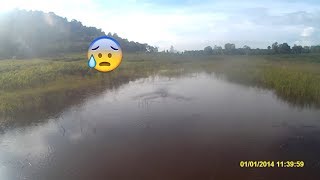 Giant snakehead fishing thailand l giant snakehead attack jumpfrog lures