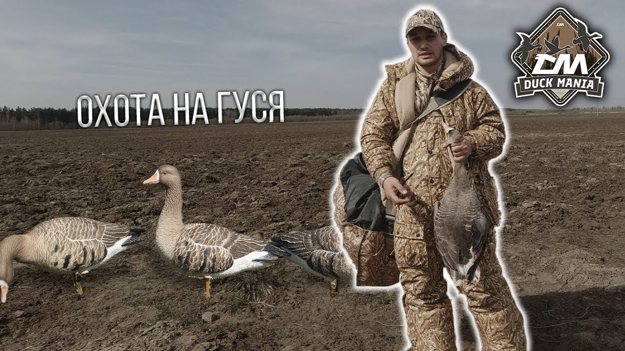 Весенняя охота на гуся 2023 | гусиные чучела Duck Mania Elite и ...