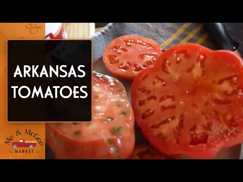Video: Tomāts “Arkanzasas ceļotāja” informācija: kas ir Arkanzasas ceļotāja tomāts