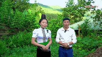 Hát thái giao duyên rất hay mọi người cùng lắng nghe nhé xin cảm ơn 