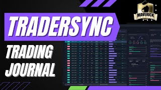 How to use TraderSync - Trading Journal  - Option Trading Journal screenshot 3