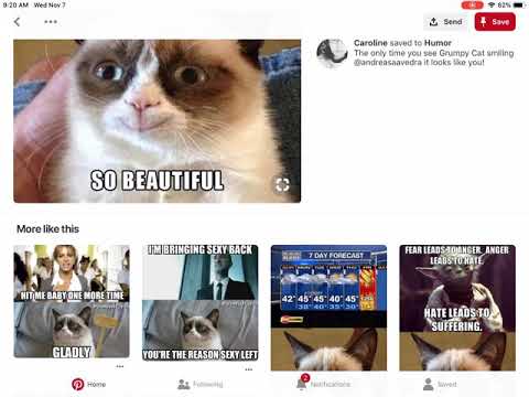 grumpy-cat-memes