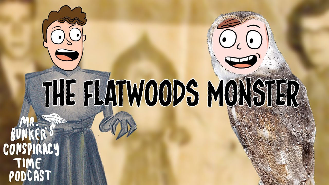 The Flatwoods Monster  - UFO, cryptid, or barn owl?