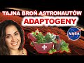 OPANUJ  STRES JAK ASTRONAUTA - ADAPTOGENY