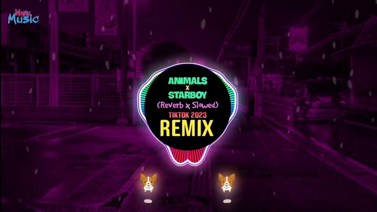 Animals x Starboy Slowed To Perfection DJ Tiktok Remix 2023  Hot Tiktok Douyin