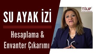 Su Ayak İzi Hesaplanması | Tulip Eğitim ve Danışmanlık