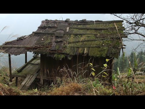 Genius boy returns to countryside to renovate old house