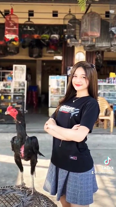 kata kata cewek cantik suka ayam #shorts #ayamaduan