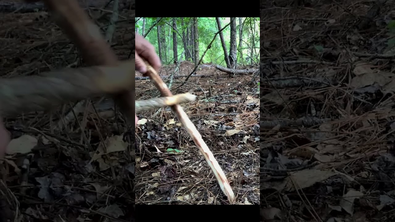 Worm Grunting Shorts YouTube