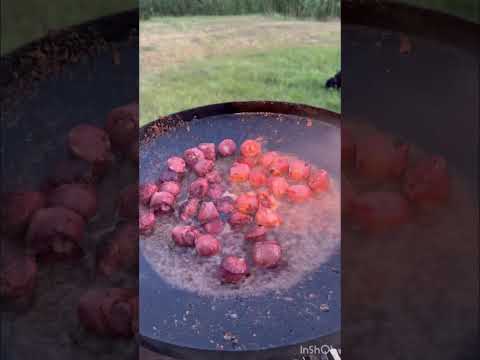 Эх мангал,вкусно🔥 #hunting #животные #animals #собака #кабан #зоопарк #прикол #лесной