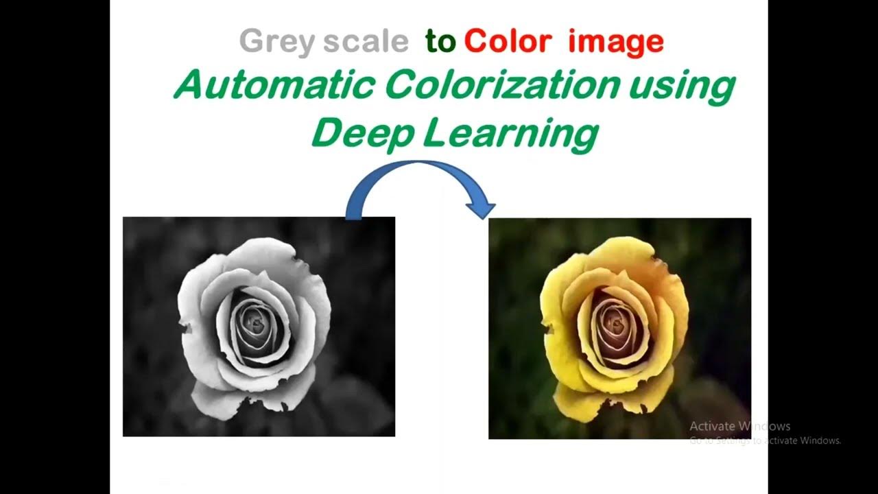 Gray scale to color image : Automatic colorization using deep learning ...