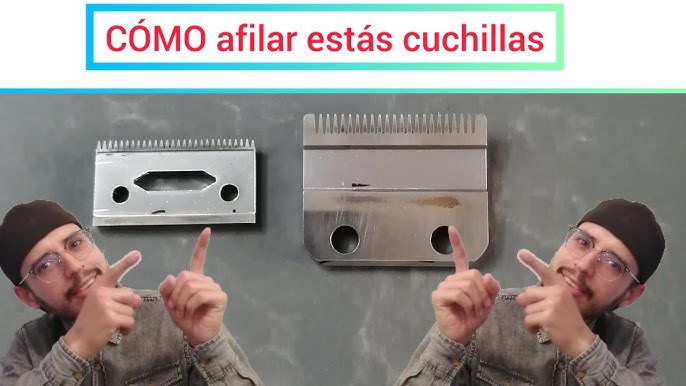 Qué aceite le puedo echar a la máquina de cortar pelo? - Maquina de afeitar