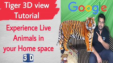 Tiger 3d view Tutorial | Experience Live Animals in Your Home Space ! Google