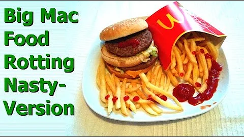 Big Mac Food Rotting - Nasty version