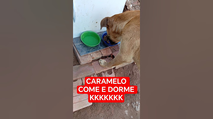 caramel Just eat and sleep kkkkkkkkk🥰😍🤣😅😅❤️