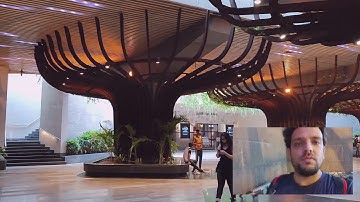 ART IN STRUCTURES | TREE SHAPED PIERS | ALL ABOUT BRIDGE ENGINEERING