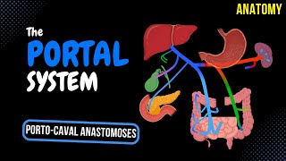 Portal Venous System & PortoCaval Anastomosis (Tributaries and Clinical Significance)  Anatomy