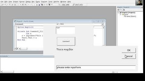 input box and print method in vb6