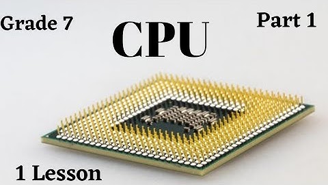 Central processing unit | Grade 7 | 1 Lesson | Part 1