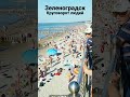 Толпы людей, скоро видео про Зеленоградск, подписывайтесь на канал #зеленоградск