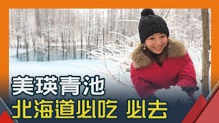 【北海道必去必吃】遊北海道啖海鮮帝王蟹.松葉蟹.毛蟹必吃 ...