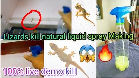 Lizards kill spray Making new idea 100% live demo kill trick Hindi 🦎🦎😱😱🔥👍👌