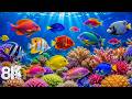 Amazing 8K Ocean Adventure - Dive Deep and Marvel at Sea Animals in The Best 8K ULTRA HD Aquarium
