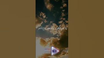 ولا تطع الكافرين ♥♥♥ #صبا_إربد #القرآن_الكريم #تلاوة_خاشعة #محمد_العطار #اكسبلور