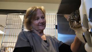 Foothills Animal Rescue's 2023 Impact