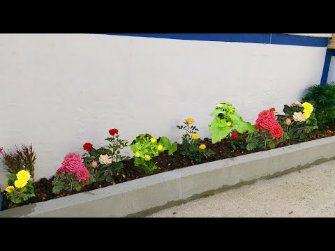 Video: Tuğla çiçeklik: bir çiçek bahçesini kendi ellerimizle donatıyoruz