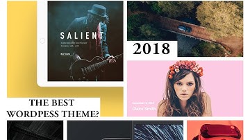 The Best Wordpress Theme Ever? (2019) [Salient Theme Review]