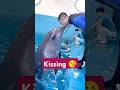 जानवरों की ऐसी शरारत जिसे देख हंसी नहीं रुकती #latest #new #youtubeshorts #animalcomedy