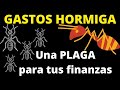 GASTOS HORMIGA, una plaga que no te permite PROSPERAR|Educación Financiera