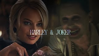 WE&#39;RE NOT GONNA BE FRIENDS // HARLEY AND JOKER