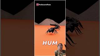 amazing facts about ants #insects #animation #science #facts #animationshorts #shortsfeed