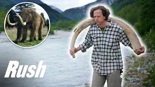 Could A Woolly Mammoth Still Walk Among Us? | The Alaska Triangle