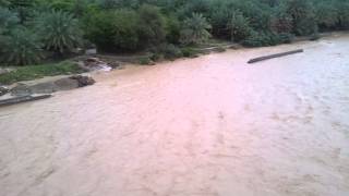 20130426وادي فنجاء ـ جمادى الثانية 1434هـ