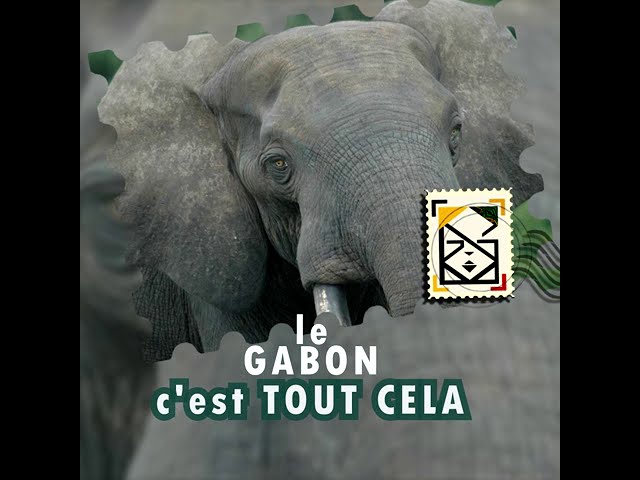 Gabon Spirit Spot LOGO vision [FR]