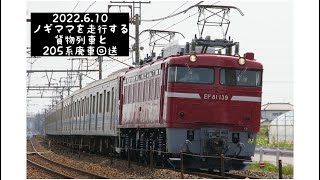 2022.6.10 ノギママを走行する貨物列車と205系廃車回送