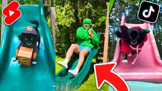 Famous PUDDIN SLIDING COMPILATION!! Wealth