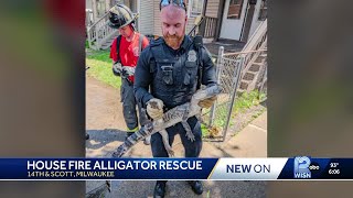 Alligator recovered from Milwaukee house fire