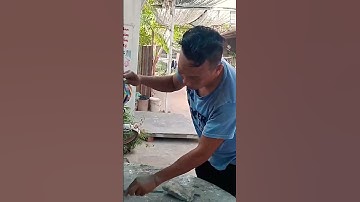 Tranh xi măng Điêu Khắc Mỹ Thuật Tuấn Võ 0702.656.686#xuhuong #dieukhac#