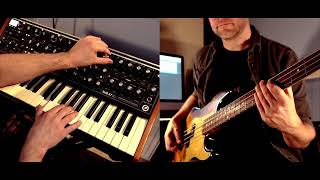 FACES OF STONE - official bass playthrough by Jonas Lindberg