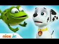 Щенячий патруль | Маршал подружился с озорной лягушкой | Nick Jr. Россия