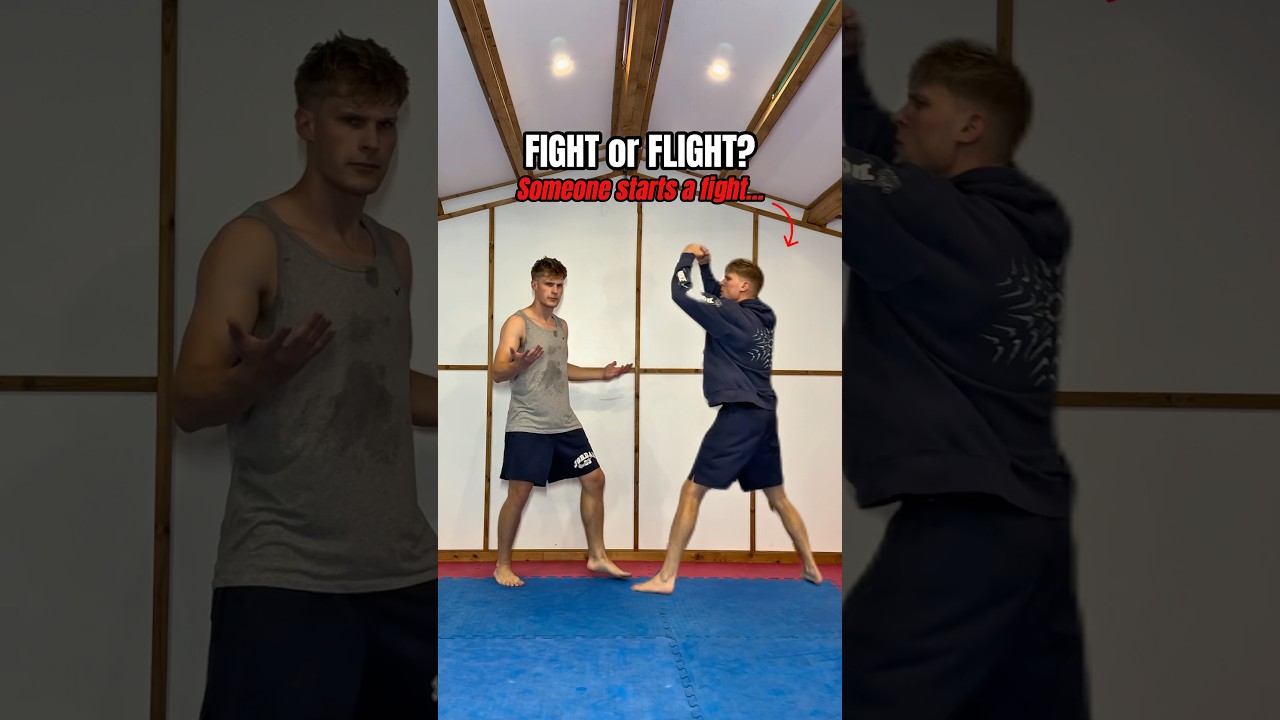 FIGHT or FLIGHT? - YouTube