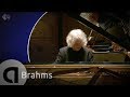 Capture de la vidéo Brahms:pianoconcert No.2 Op.83 - Brautigam - Schonwandt - Live Concert - Hd